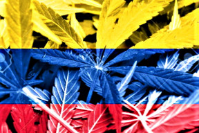 colombia-propone-legalizar-el-cannabis
