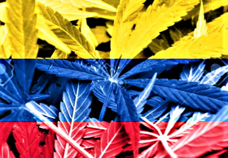 Colombia propone legalizar el cannabis