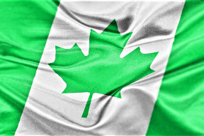 un-banco-canadiense-lanza-una-tarjeta-de-credito-vinculada-a-las-emisiones-de-carbono