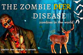 virus-del-ciervo-zombie-eeuu-en-alerta-por-una-nueva-amenaza-contra-la-salud