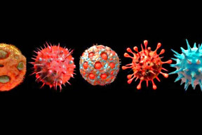 los-globalistas-trabajan-para-crear-un-supervirus-combinando-covirus-viruela-del-mono-y-vih