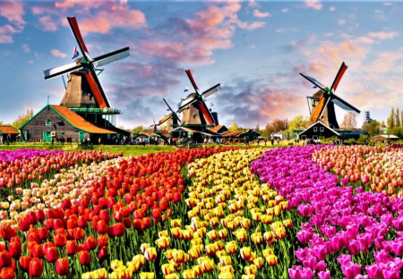 El Gobierno de Países Bajos pretende sacar adelante «la política de asilo más estricta de la historia»