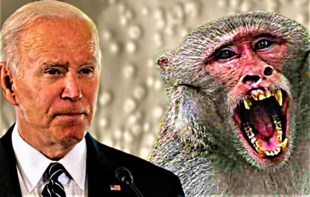 Inician en EEUU ensayos clínicos de vacuna contra la viruela del mono