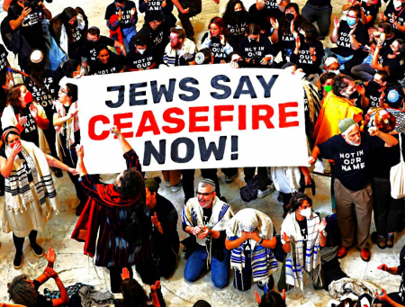 ¡Judíos estadounidenses irrumpieron en el Congreso para protestar contra Israel y la guerra de Gaza!