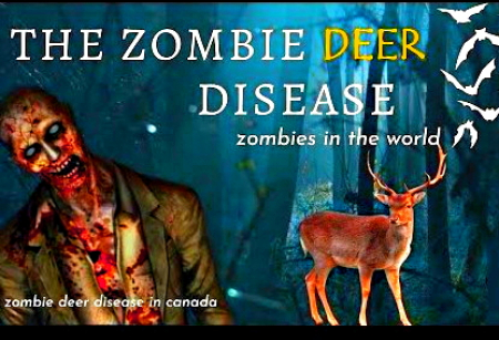 Virus del ciervo zombie: EEUU en alerta por una nueva amenaza contra la salud